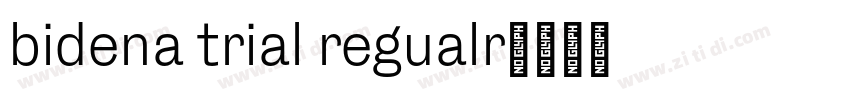 bidena trial regualr字体转换